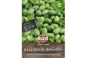 Mexikanische Minigurke.