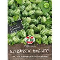 Mexikanische Minigurke.