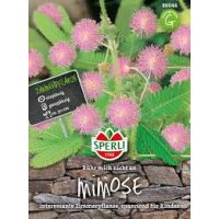 Mimosen. Rühr mich nicht