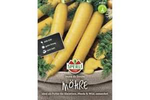 Möhre Jaune du Doubs