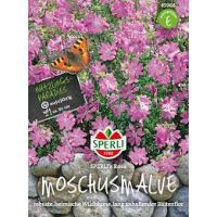 Moschus Malven. Rosa