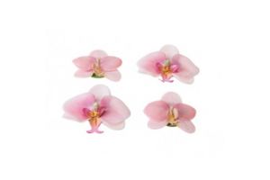 Orchid roze 7/9cm