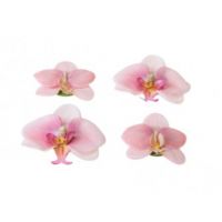 Orchid roze 7/9cm