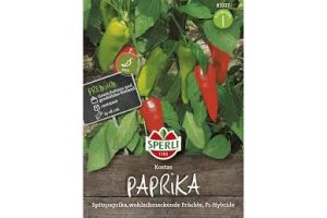 Paprika. Kostas
