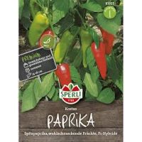 Paprika. Kostas
