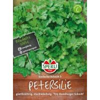 Petersilie. Einf.Schnitt 3