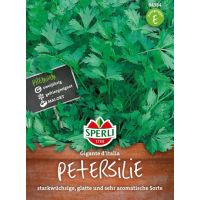 Petersilie. Gigante d´Italia