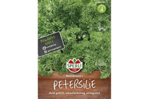 Petersilie. Mooskrause 2