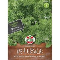 Petersilie. Mooskrause 2