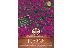 Petunien. Purpur Kaskade