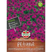 Petunien. Purpur Kaskade
