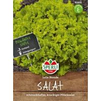 Pflücksalat. Lollo