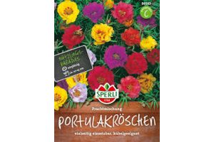Portulakröschen. Prachtmi.
