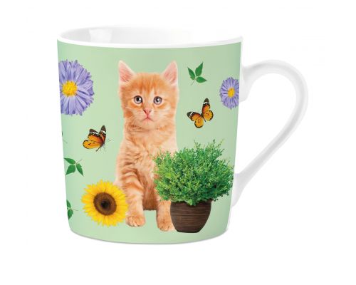 Mok PG Orange Tabby Kitten - afbeelding 1