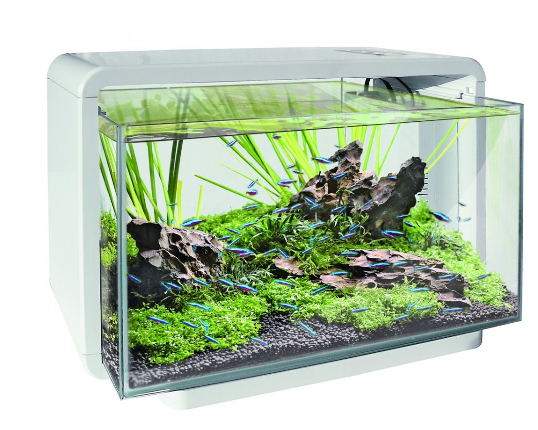 Overweldigend biologie Profetie SuperFish Aquarium Home 25 wit - Tuincentrum Daniëls