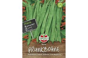 Prunkbohnen. Butler