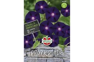Prunkwin. Schwarze Witwe