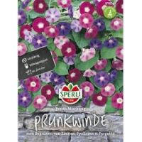 Prunkwinden. Presto Mix