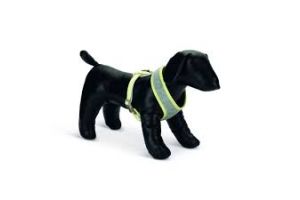 Puppy borsttuig bronda maat S grijs