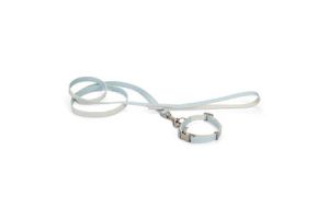 Puppy set halsband met lijn tori blauw