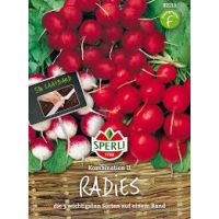 Radies-Kombi. II Saatband