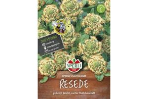 Reseden. Gartenduft