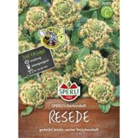 Reseden. Gartenduft