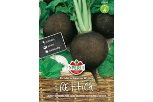 Rettich. Rund schw Winter