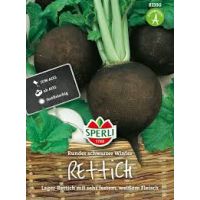 Rettich. Rund schw Winter