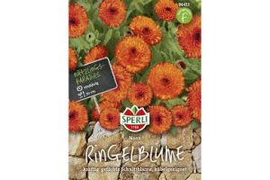 Ringelblume Neon