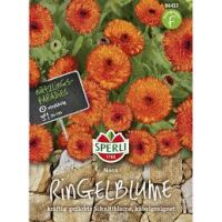 Ringelblume Neon