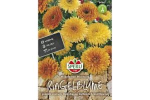 Ringelblumen Modefarben