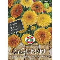 Ringelblumen Modefarben
