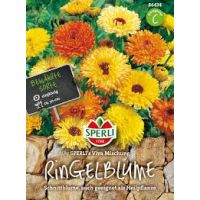 Ringelblumen Viva Mix