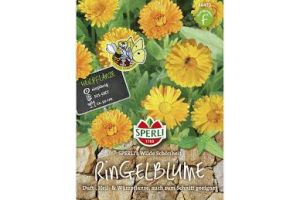 Ringelblumen Wilde