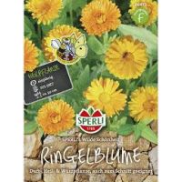 Ringelblumen Wilde