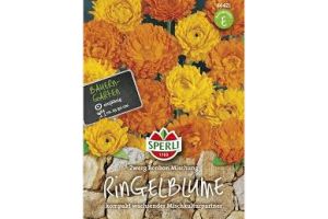 Ringelblumen Zwerg Mix