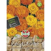 Ringelblumen Zwerg Mix