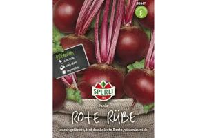 Rote Rüben Pablo