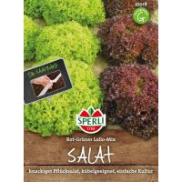 Salat Lollo-Mix Saatband