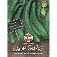 Salatg. Chinese Slangen
