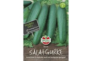 Salatgurken. Konsa