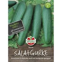 Salatgurken. Konsa