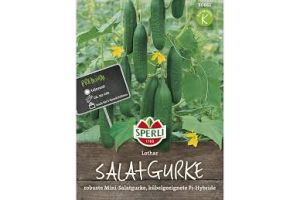 Salatgurken. Lothar