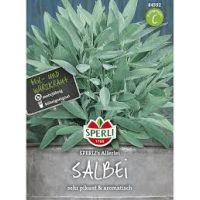 Salbei. Allerlei