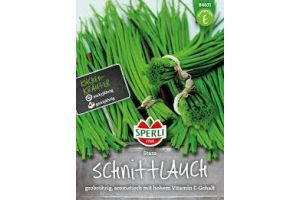 Schnittlauch. Staro