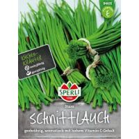 Schnittlauch. Staro