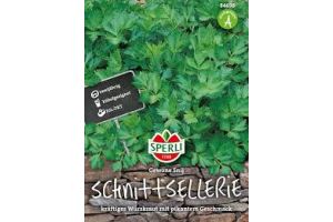 Schnittsellerie. Gewon. Snij