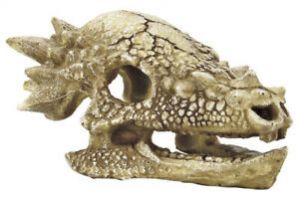 SF Skull T-Rex M