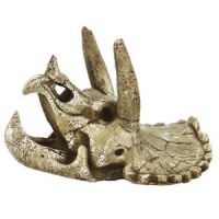 SF Skull Triceratops M